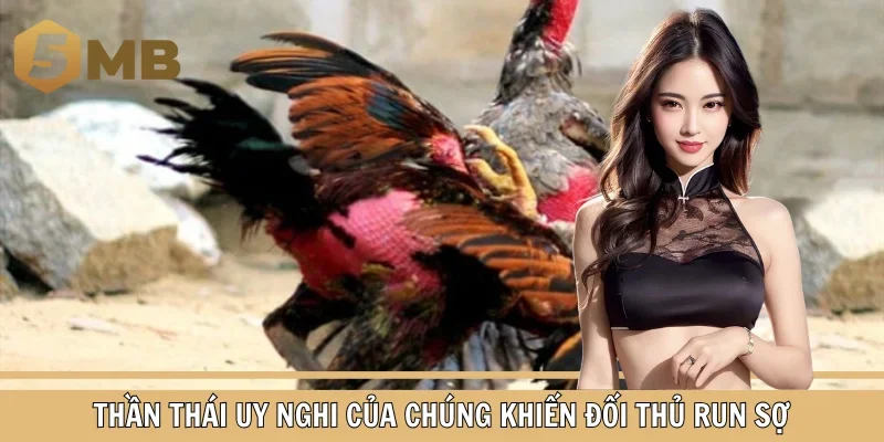 Thần thái uy nghi của chúng khiến đối thủ run sợ