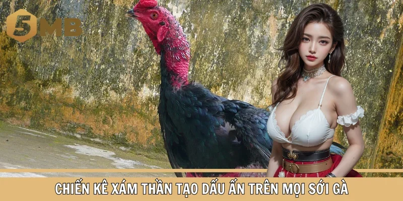 Chiến Kê Xám Thần Tạo Dấu Ấn Trên Mọi Sới Gà
