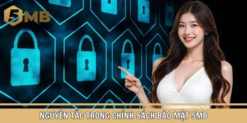 Vài nguyên tắc chính thuộc chính sách bảo mật của 5MB