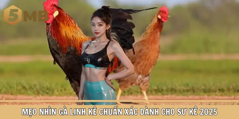 Mẹo Nhìn Gà Linh Kê Chuẩn Xác Dành Cho Sư Kê 2025