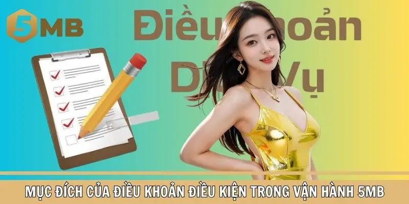Vai trò của điều khoản điều kiện trong vận hành hệ thống 5MB
