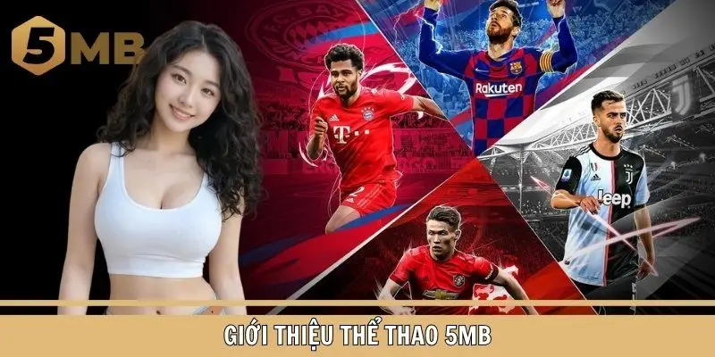 Tìm hiểu sảnh thể thao 5MB cực đặc sắc và cuốn hút